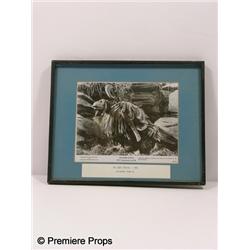 Dark Crystal Framed Photo