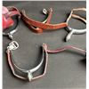 Image 2 : English-Made NISBET Spurs with Leather Straps and Guards