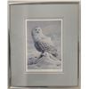 Image 1 : Luke Raffin "Spirit of the Arctic" Snowy Owl Print, Signed, Framed 10" x 12"