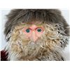 Image 1 : Christmas Lot with Blue-Eyed Santa Doll, Decorative Hockey Nutcracker, Santa and Snowman Candles
