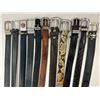 Image 2 : Cowboy to Boardroom Belt Collection