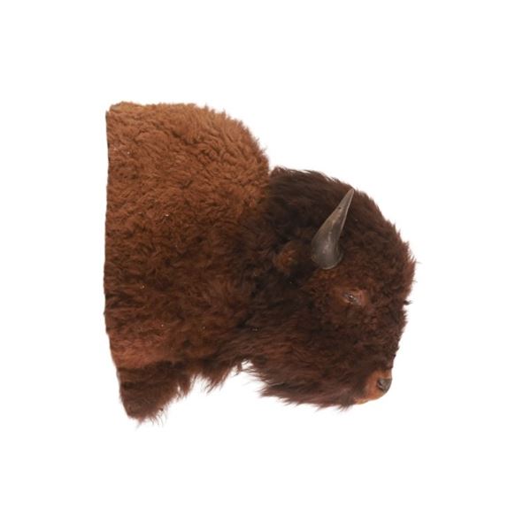 Montana Great American Buffalo Bull Shoulder Mount
