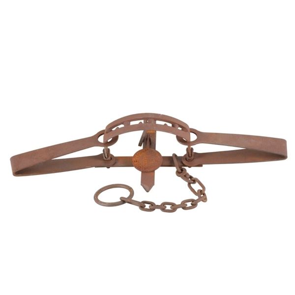 Duke Trap #15 Bear D Double Spring Bear Trap