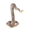 Image 2 : Striking Diamondback Rattlesnake Taxidermy