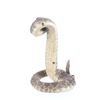 Image 3 : Striking Diamondback Rattlesnake Taxidermy
