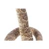 Image 6 : Striking Diamondback Rattlesnake Taxidermy