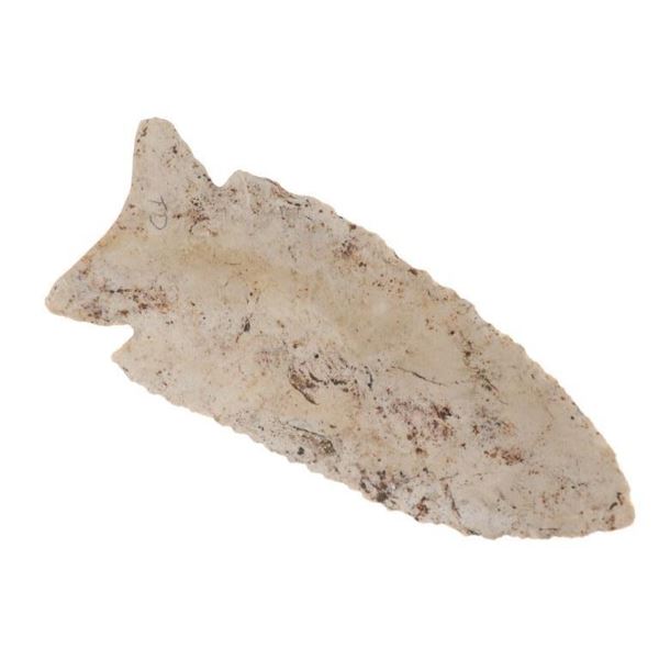 3 1/8" MacCorkle Projectile Point 8,850-8,750 B.P.