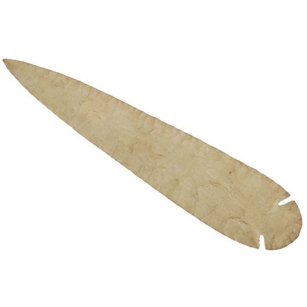 9 5/8-inch Apache Dovetail St Charles Spear Point