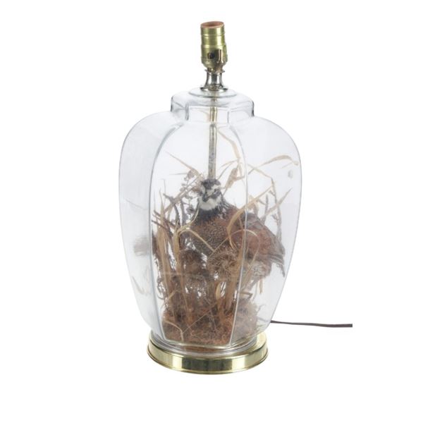 Taxidermy Quail Diorama Table Lamp, ca. 1970s