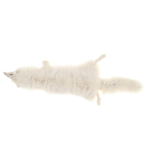 Silver Arctic Fox Taxidermy Hide