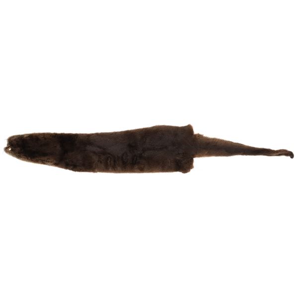 Montana Tanned River Otter Fur Hide