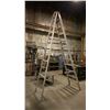 Image 1 : LOUISVILLE 300LBS. CAPACITY 12FT ALUMINIUM STEP LADDER