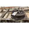 Image 1 : HEAVY GAUGE 110V EXTENSION CORD APPROX 30'
