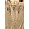 Image 3 : Short Sleeve Lace Bridal Gown