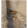 Image 4 : Penmans Faux Fur Hooded Jacket