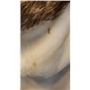 Image 8 : Penmans Faux Fur Hooded Jacket