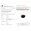 Image 3 : Certified 11.15 ct Ruby, Appraised at $13,603