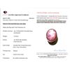 Image 3 : Certified 14.65 ct Burmese Star Ruby, Appraised at $21,242