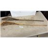 Image 1 : 2 Rawhide and wood Antique Lacrosse Sticks