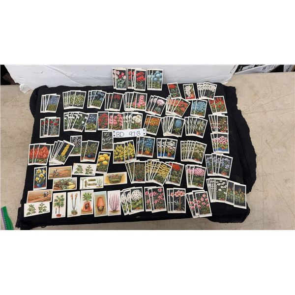 Large Lot of Vintage Tobacco Cards: Flowers, Plants