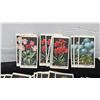 Image 2 : Large Lot of Vintage Tobacco Cards: Flowers, Plants