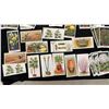 Image 7 : Large Lot of Vintage Tobacco Cards: Flowers, Plants