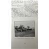 Image 10 : Antique 1906 Royal North West Mounted Police Canada History Book