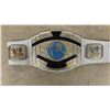 Image 3 : Large Lot of Hulk Hogan AWA Badges and 2012 WWE Heavyweight Belt