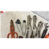 Image 2 : Assortment Pliers, Adjustable Wrenches, Tin Snips