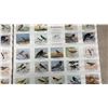 Image 10 : 2 Vintage "Birds of Western Canada" Series 1 Winnipeg Free Press Posters