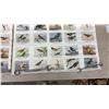 Image 11 : 2 Vintage "Birds of Western Canada" Series 1 Winnipeg Free Press Posters