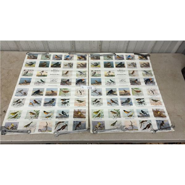 2 Vintage "Birds of Western Canada" Series 1 Winnipeg Free Press Posters