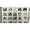 Image 6 : 2 Vintage "Birds of Western Canada" Series 1 Winnipeg Free Press Posters