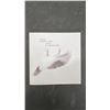 Image 8 : Canada Post Official Millennium Keepsake Silver Dove, Year 2000