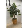 Image 2 : Faux Ficus Tree in Woven Basket and Ivy Topiary in Basket Planter, Tallest, 49”
