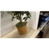 Image 4 : Faux Ficus Tree in Woven Basket and Ivy Topiary in Basket Planter, Tallest, 49”