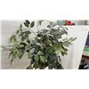 Image 5 : Faux Ficus Tree in Woven Basket and Ivy Topiary in Basket Planter, Tallest, 49”