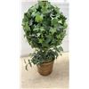 Image 8 : Faux Ficus Tree in Woven Basket and Ivy Topiary in Basket Planter, Tallest, 49”
