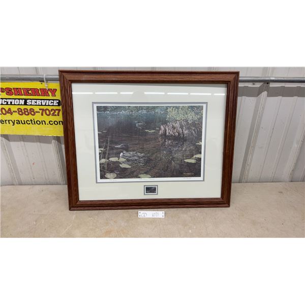 Framed Print By Paul Rankin “Shallow Roots” - 27.25” x 22.25”