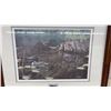 Image 2 : Framed Print By Paul Rankin “Shallow Roots” - 27.25” x 22.25”