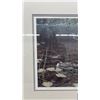 Image 4 : Framed Print By Paul Rankin “Shallow Roots” - 27.25” x 22.25”