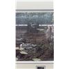 Image 5 : Framed Print By Paul Rankin “Shallow Roots” - 27.25” x 22.25”