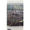 Image 6 : Framed Print By Paul Rankin “Shallow Roots” - 27.25” x 22.25”