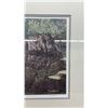 Image 7 : Framed Print By Paul Rankin “Shallow Roots” - 27.25” x 22.25”