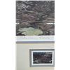 Image 9 : Framed Print By Paul Rankin “Shallow Roots” - 27.25” x 22.25”