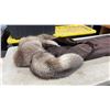 Image 4 : Dark Brown Mink Fur Coat with Natural Fox Fur Shawl Collar and Shoulders, Mid-Length, Sz S-M