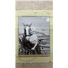 Image 5 : Marilyn Monroe Hardcover Book by David Robinson and John Kobal and 2 Framed Photographs