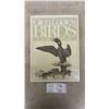 Image 1 : Glen Loates Birds of North America By Ross James 1979, First Edition