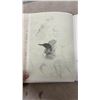 Image 4 : Glen Loates Birds of North America By Ross James 1979, First Edition