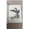 Image 5 : Glen Loates Birds of North America By Ross James 1979, First Edition